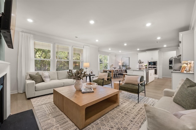 living room with light wood-type flooring, crown molding, and sink