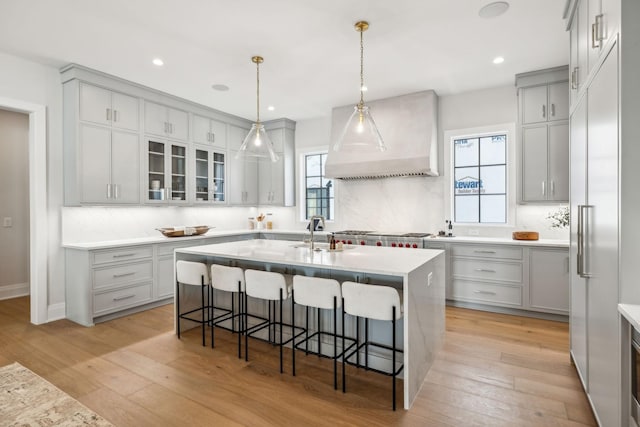 kitchen with stainless steel appliances, premium range hood, light wood-style flooring, and a healthy amount of sunlight