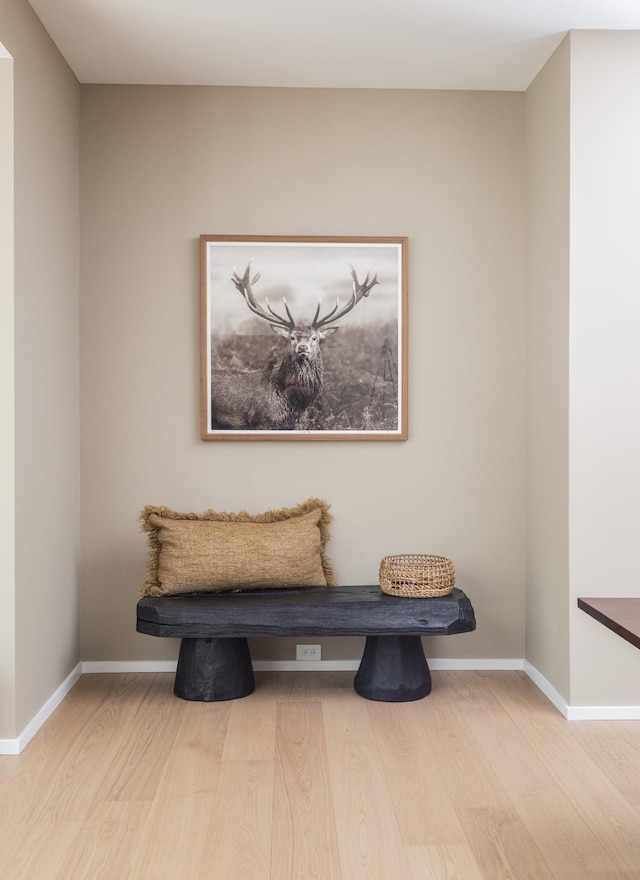 living area featuring hardwood / wood-style floors