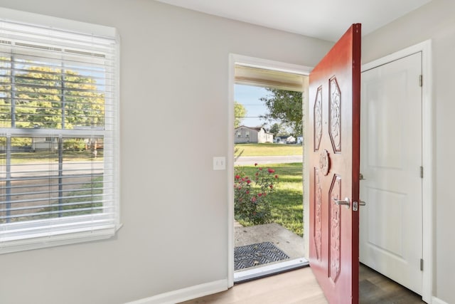 foyer entrance with wood-type flooring