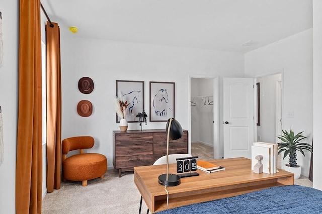 sitting room with carpet flooring