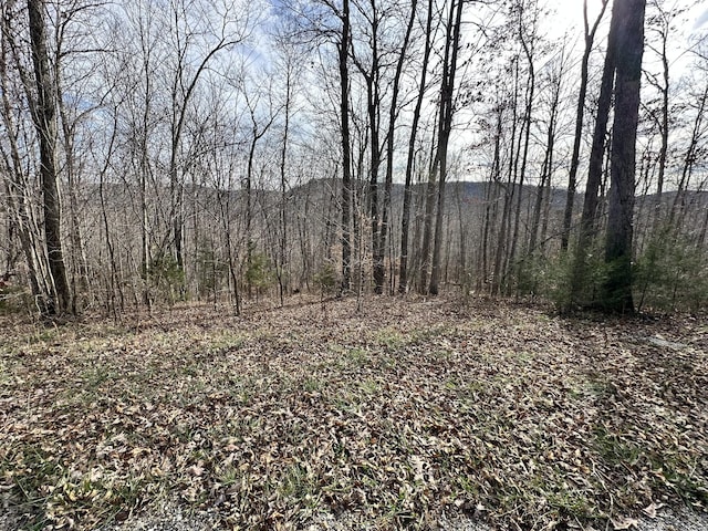 Listing photo 2 for 0 Cheyenne Dr SW, Jamestown TN 38556