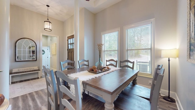 dining area featuring dark hardwood / wood-style flooring