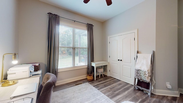 office featuring ceiling fan and dark hardwood / wood-style flooring