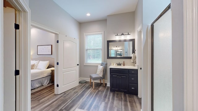 bathroom with wood-type flooring and vanity