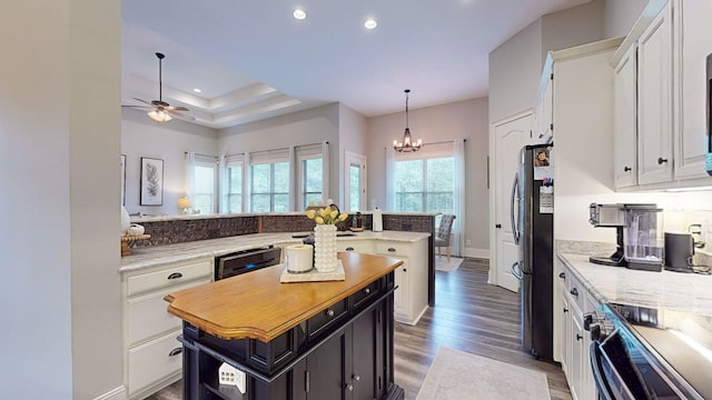 kitchen featuring white cabinetry, appliances with stainless steel finishes, a raised ceiling, ceiling fan with notable chandelier, and a center island