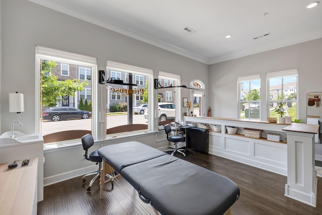 office featuring dark wood-type flooring, a wealth of natural light, and ornamental molding