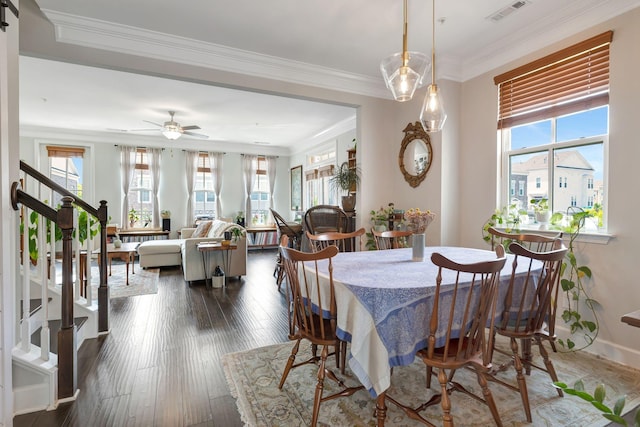 dining area featuring ceiling fan, dark hardwood / wood-style flooring, and ornamental molding