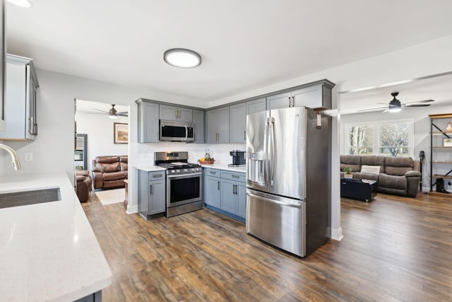 kitchen with ceiling fan, sink, dark hardwood / wood-style flooring, and stainless steel appliances