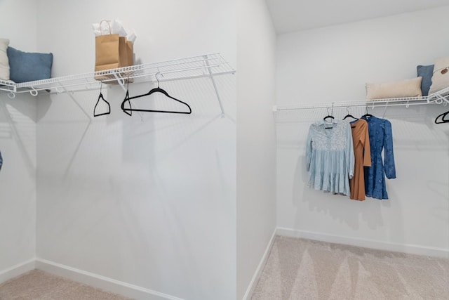 spacious closet featuring carpet flooring