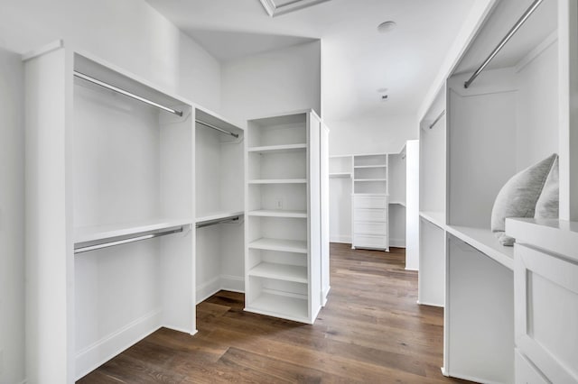 walk in closet featuring dark hardwood / wood-style floors