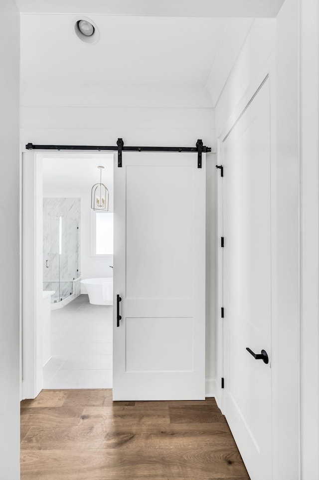 hall with a barn door and wood-type flooring