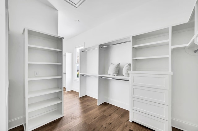 spacious closet with dark wood-type flooring