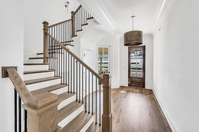 entrance foyer featuring crown molding and wood-type flooring