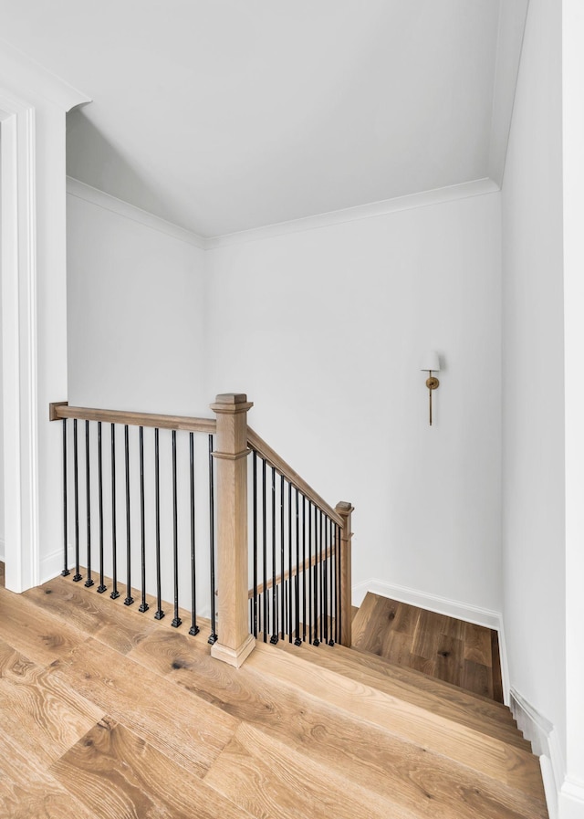 stairs with ornamental molding and hardwood / wood-style flooring