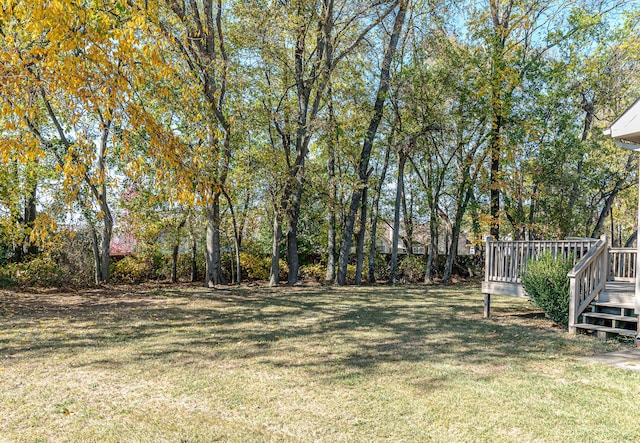 view of yard featuring a wooden deck