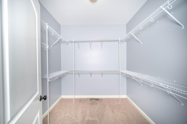 spacious closet with carpet floors