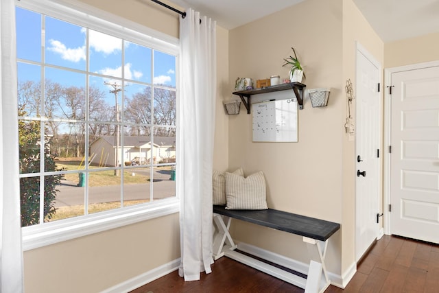 doorway to outside featuring dark hardwood / wood-style floors and plenty of natural light