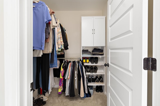 spacious closet with carpet