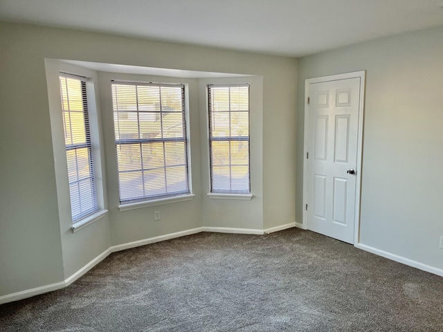 carpeted empty room featuring a wealth of natural light