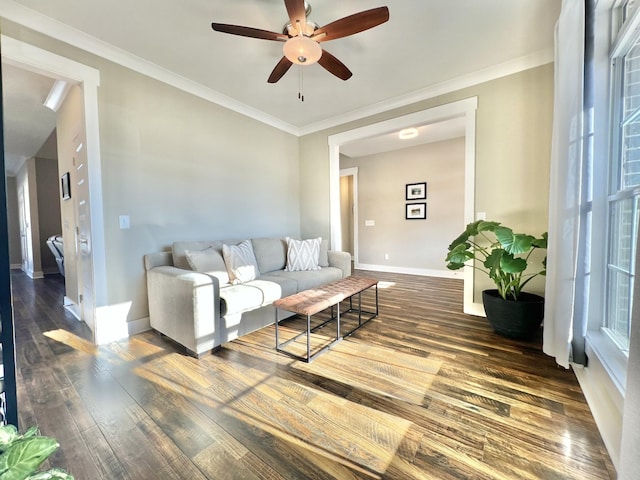 living room with ceiling fan, dark hardwood / wood-style flooring, and crown molding