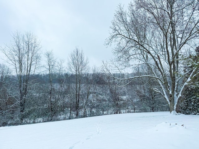 view of snowy yard