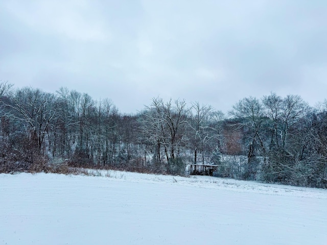 view of yard covered in snow