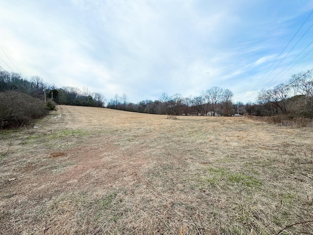 view of yard featuring a rural view