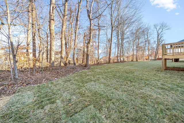 view of yard featuring a wooden deck