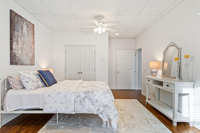 bedroom with ceiling fan, dark wood-type flooring, a drop ceiling, and a closet