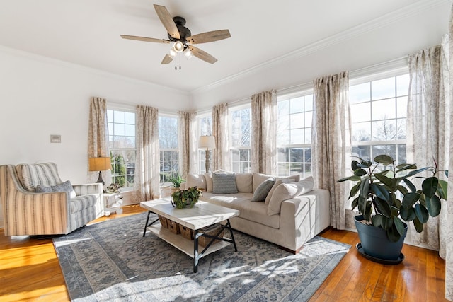 living room featuring ceiling fan, plenty of natural light, wood-type flooring, and crown molding