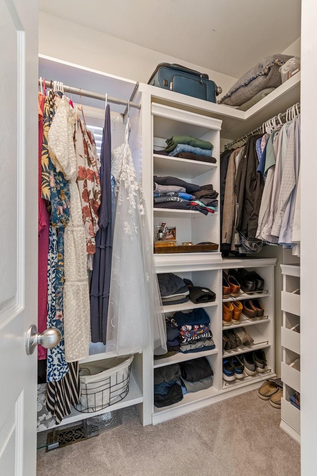 walk in closet with carpet floors