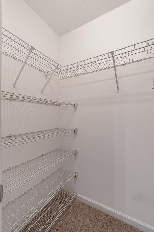 walk in closet with carpet flooring