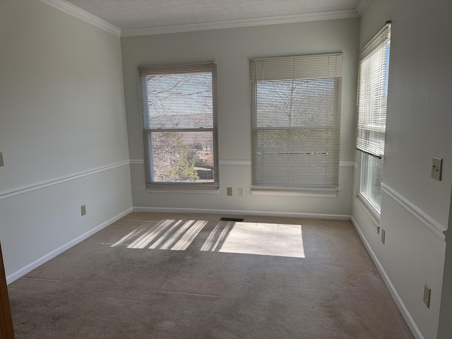 carpeted spare room featuring a textured ceiling and ornamental molding