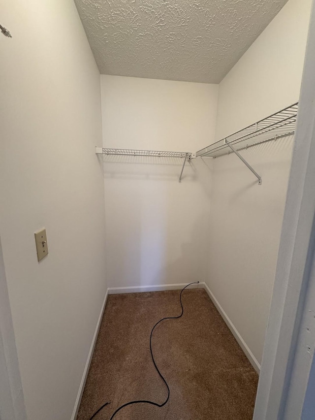 spacious closet with carpet floors