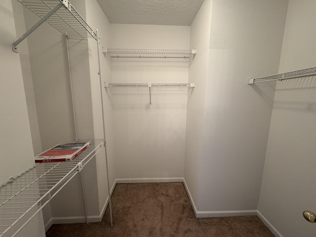 spacious closet with dark colored carpet