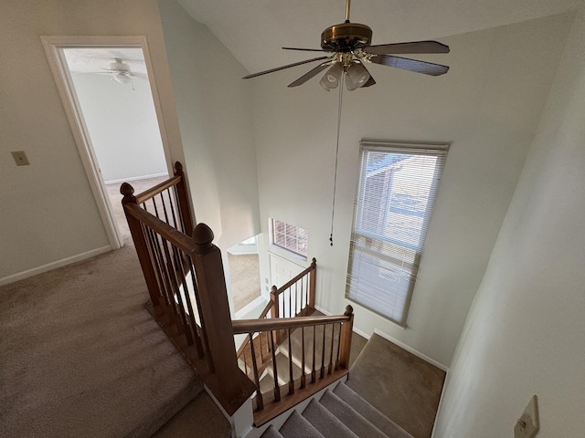 staircase with carpet floors and ceiling fan