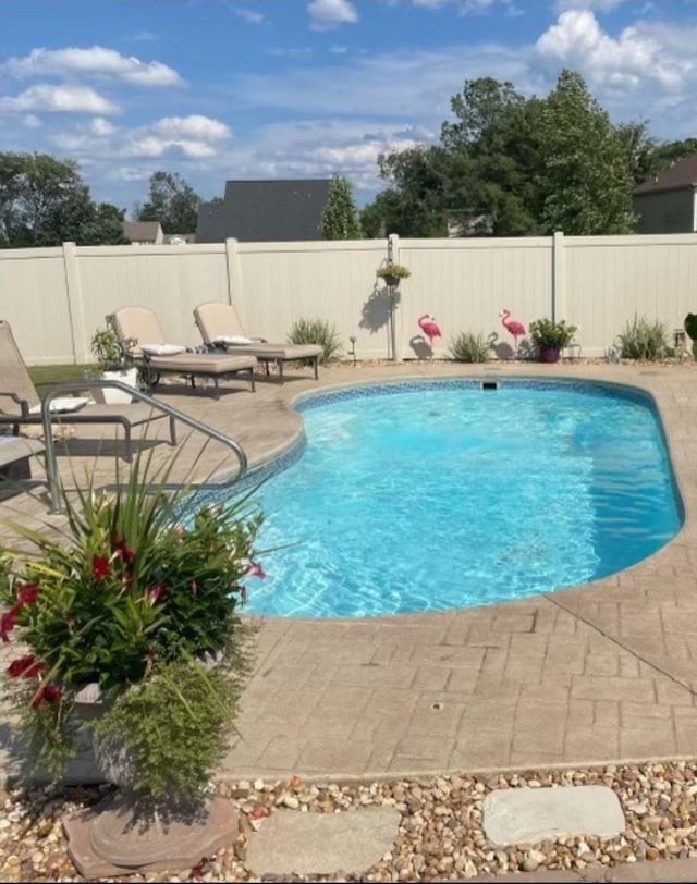 view of swimming pool featuring a patio