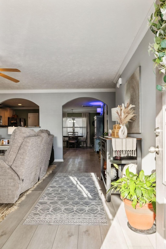 interior space featuring ceiling fan and ornamental molding