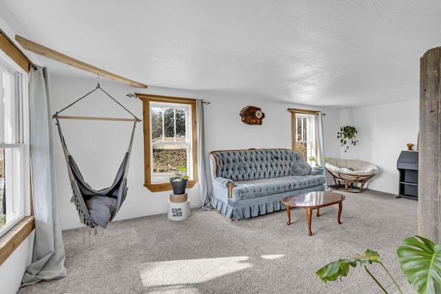 living room featuring carpet