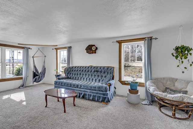 living room featuring carpet and a textured ceiling