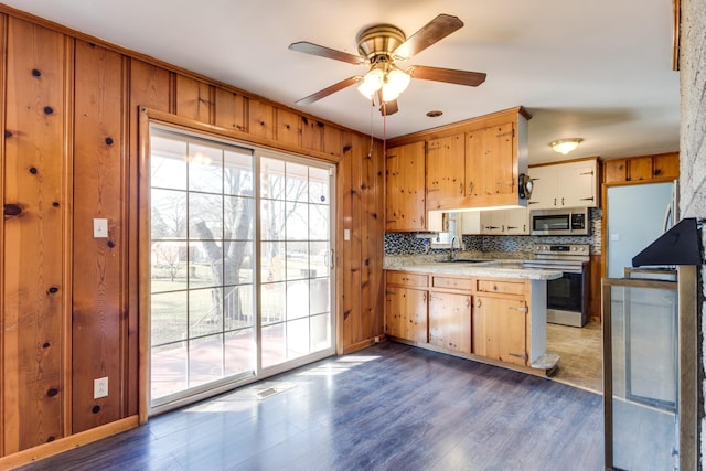 kitchen featuring ceiling fan, decorative backsplash, sink, dark wood-type flooring, and appliances with stainless steel finishes