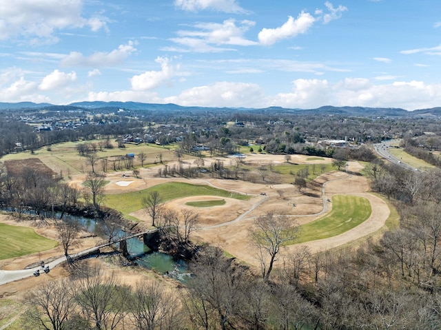 drone / aerial view featuring a mountain view