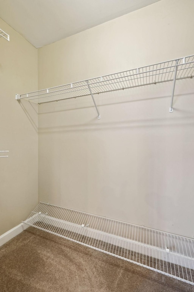 spacious closet with carpet