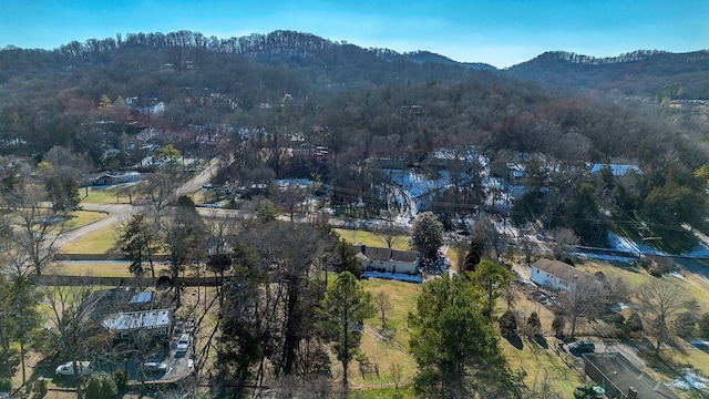 bird's eye view with a mountain view