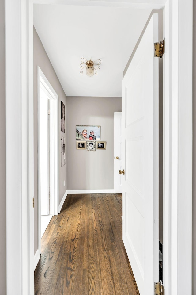 corridor featuring dark hardwood / wood-style floors