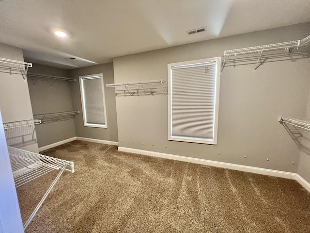 spacious closet featuring carpet floors and visible vents