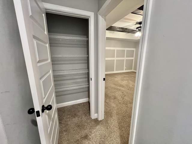 view of closet