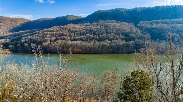 10495 Mullins Cove Rd, Whitwell TN, 37397 land for sale