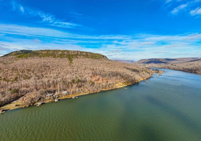 0 Mullins Cove Rd, Whitwell TN, 37397 land for sale